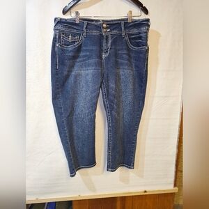 Wall Flower Cropped Classic Blue Women's Jeans